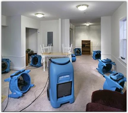 Water Mitigation Services in Fairhope, AL