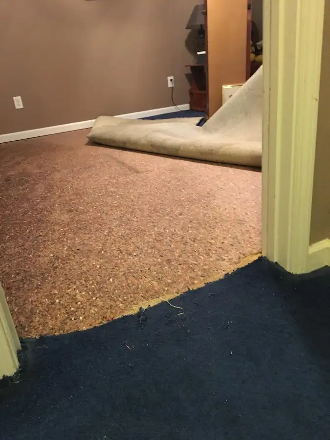 Carpet pad removal revealing water damage during Water Mitigation Services in Fairhope