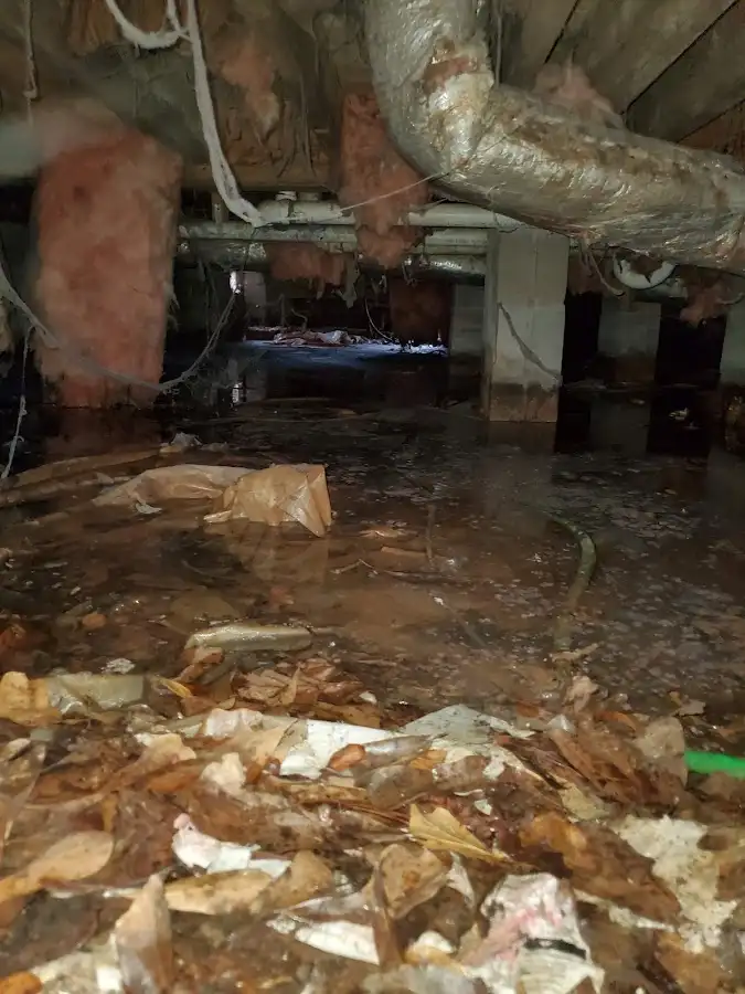 Crawl space flood assessment for Leak Detection & Repair in Fairhope